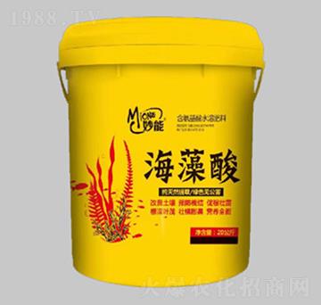 ������-��������