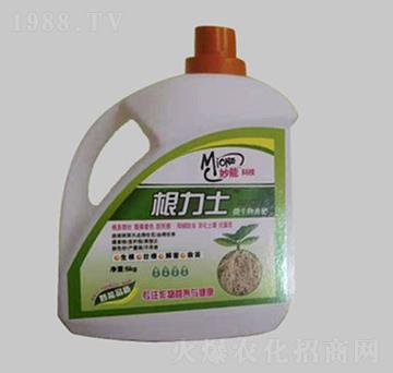 ����ʿ-��������