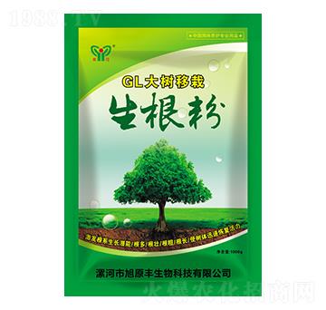 GL大樹移栽生根粉-旭原豐