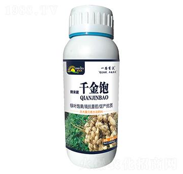 花生千金飽-金沃夫