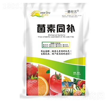 菌素同補-金沃夫