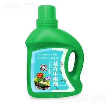 ����������-�ֱ�ķ-�T�ַ���