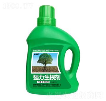 500mlǤ�塤������������������-�ֱ�ķ-�T�ַ���