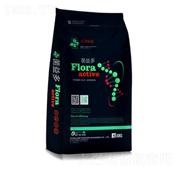 �����-�W���o