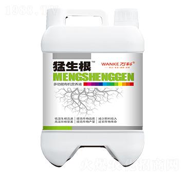 ๦ЙC(j)IB(yng)Һ--f