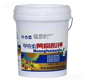 �ך����S�����-������ϲ