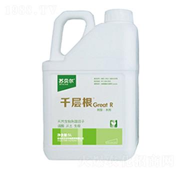 5L千層根-蘇貝爾