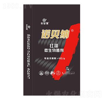 �Zؐ�{�t��΢�������-���ǻ�