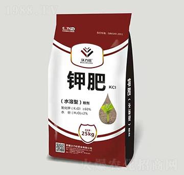 ⛷�-������