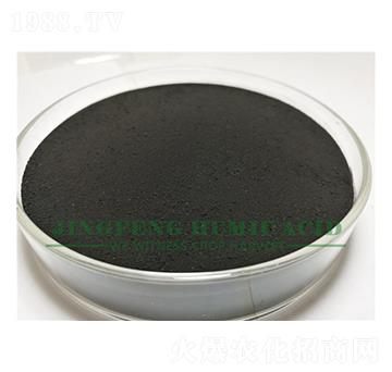 腐植酸粉末-景豐腐植酸