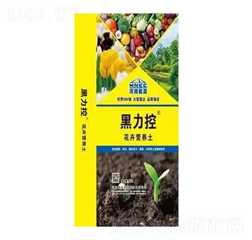 ���ܠI(y��ng)�B(y��ng)��-������-ԥ��ʘI(y��)