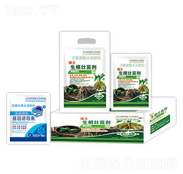 �����������焩+�����T��(d��o)��-�ֵϾ�