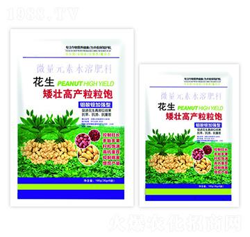 微量元素水溶肥-花生矮壯高產(chǎn)粒粒飽-沃迪久