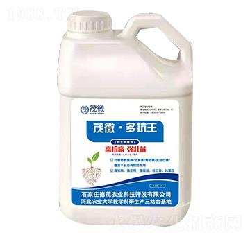 ΢�������-ï΢���࿹��-��ï�r(n��ng)�I(y��)