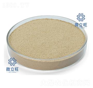 防治線蟲功能菌-微立旺