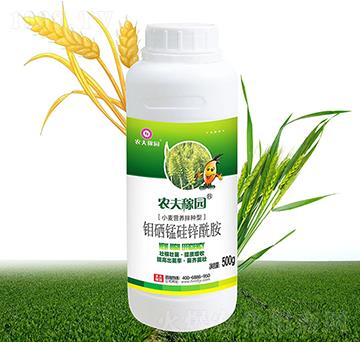 СI(yng)B(yng)N-r(nng)