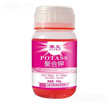 �ۺ��-ِ��-�_(t��i)�_(d��)�ʘI(y��)