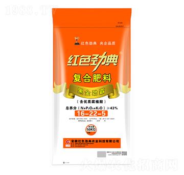 ��(f��)�Ϸ���16-22-5-�tɫ�ŵ�