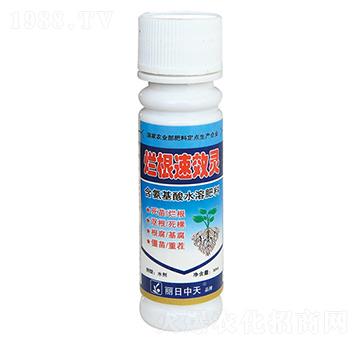 �����`-����ʘI(y��)