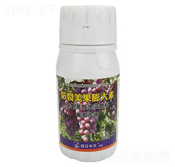 �������������-����ʘI(y��)