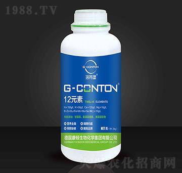 G-CONTON12Ԫ��-��ұ�-�A����