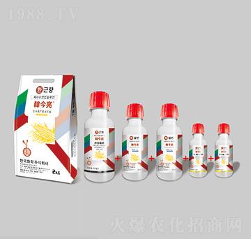 韓今亮玉米高產(chǎn)解決方案-韓友化學