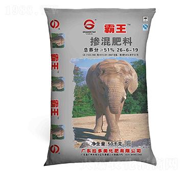 �������-����BB�ʣ�26-6-19��-����������