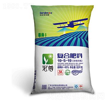 �ͺϷ���-����19-5-19���S�����������-����������