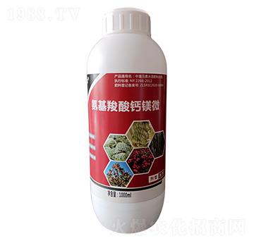 ���������}�V΢-����ʩ