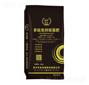 �������̼����-ʢ����