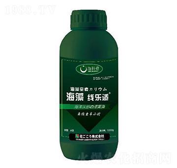 海藻線樂適-?？破? width=