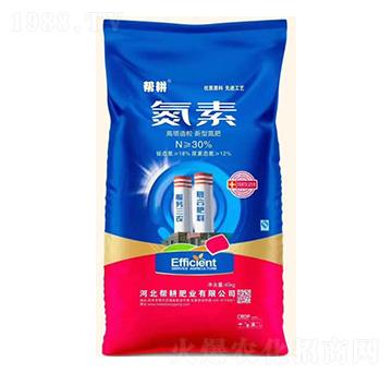 �������������͵���-����-�͸��ʘI(y��)