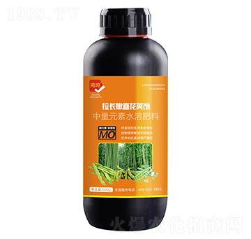 拉長嫩直花莢飽-鴻鳴