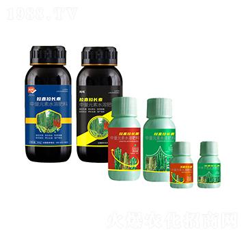 拉直拉長素-鴻鳴