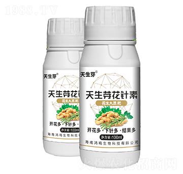 天生芽花針素-鴻鳴