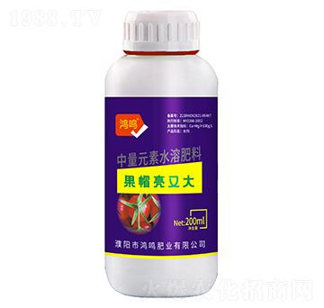 果帽亮又大-鴻鳴