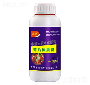 萼片伸展靈-鴻鳴