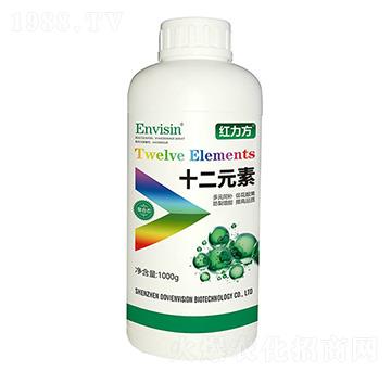 ʮ��Ԫ��-�t����