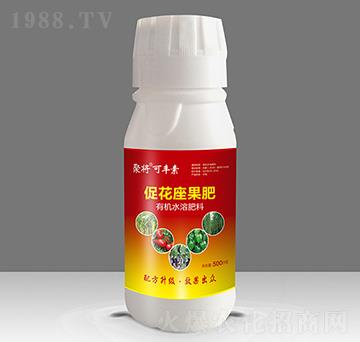 �ٻ�������-�ی����S��-�����A