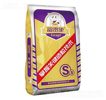 �����͏�(f��)�Ϸ���-���F���r(n��ng)�I(y��)