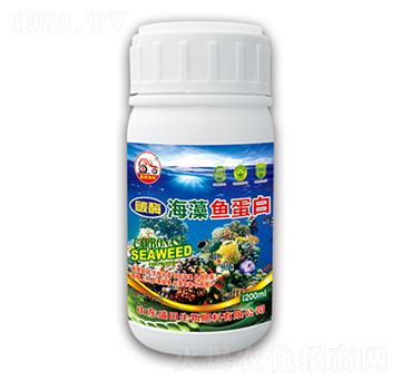 海藻魚蛋白-盛田生物