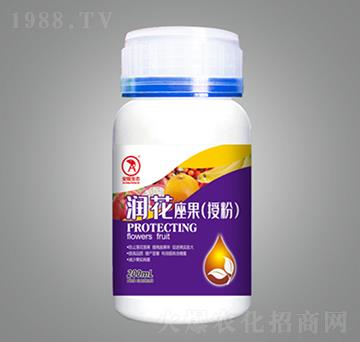 ��(r��n)���������ڷۣ�-��¡���B(t��i)