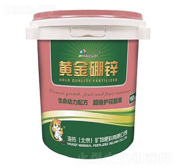 �S�����\-����