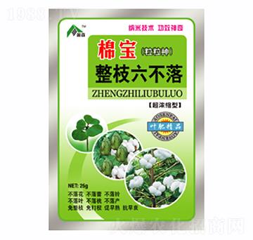 棉寶整枝六不落-康爾特