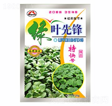 綠葉先鋒-康爾特