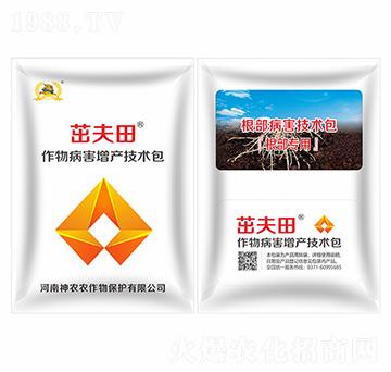 �����������g(sh��)��-�·���