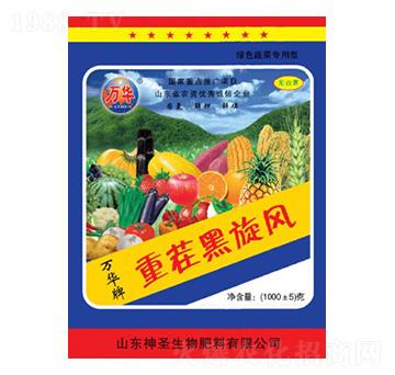 �ز�����L-��ʥ����