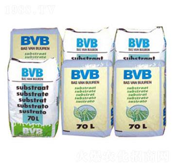 ���N���û��|-BVB-�������r(n��ng)�Q(m��o)