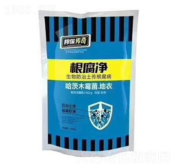 根腐凈-邦保傳奇-蘇研印象