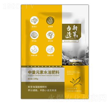 中量元素水溶肥料-新芽海藻酸精粹粉-臺灣新芽